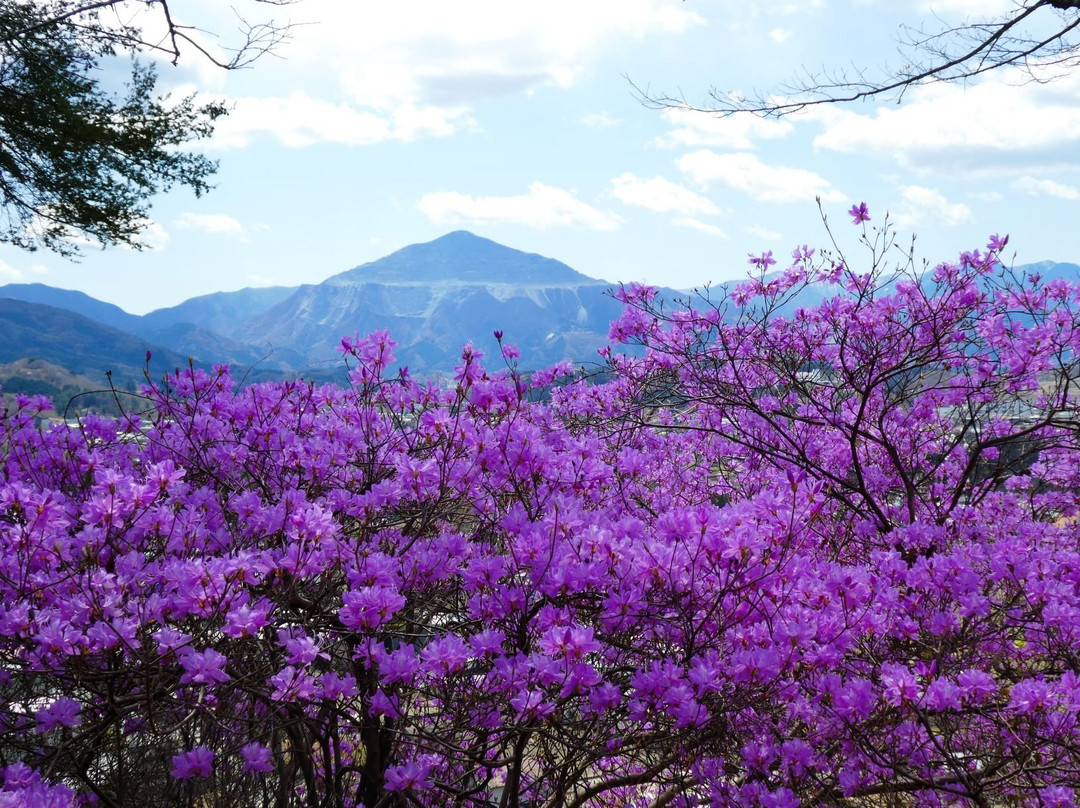 Zuigan-ji Temple-秩父市必去景点