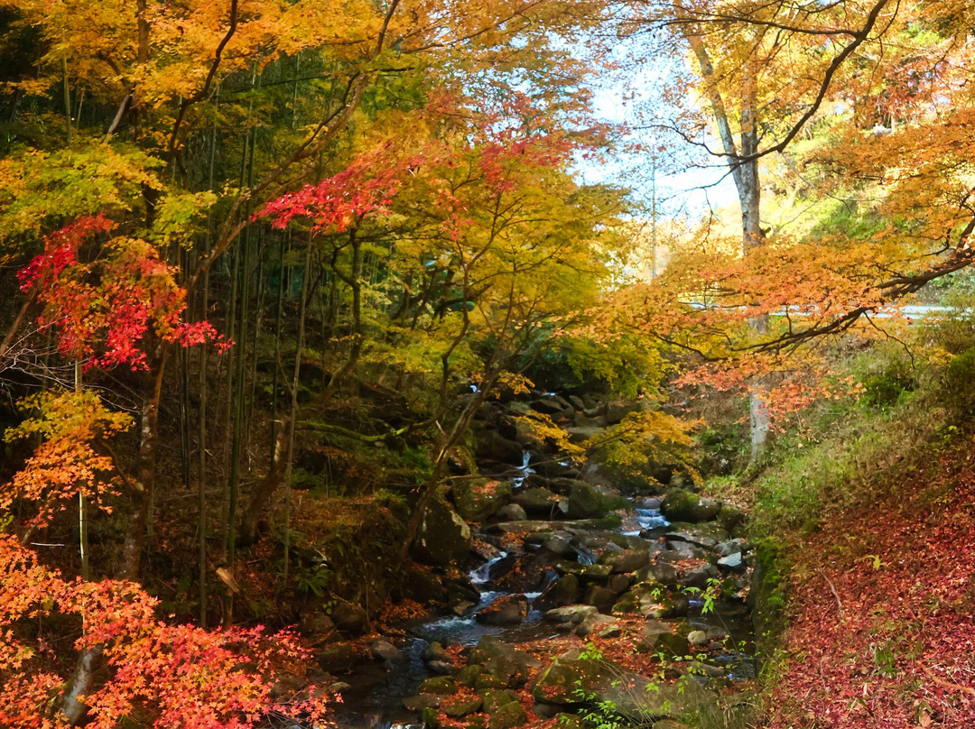 Ochiaino Omomiji-鲛川村必去景点