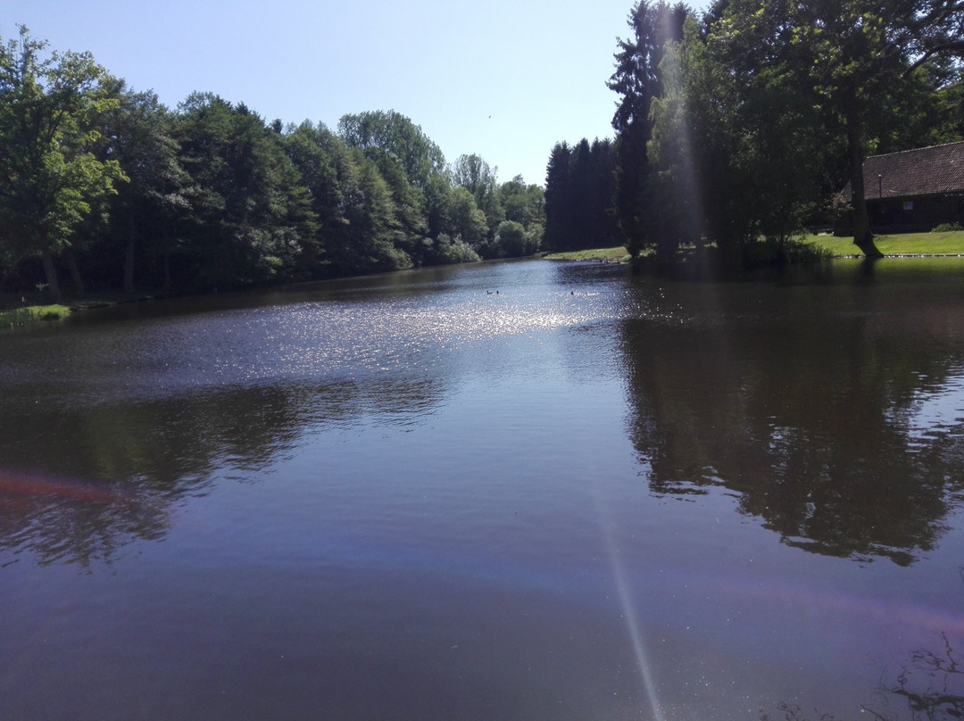 Selsingen旅游攻略图片