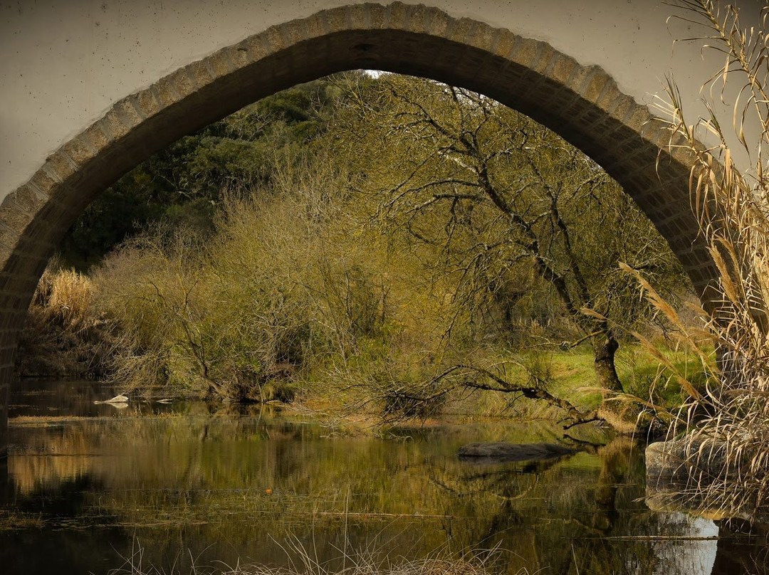 Ponte Medieval景点图片