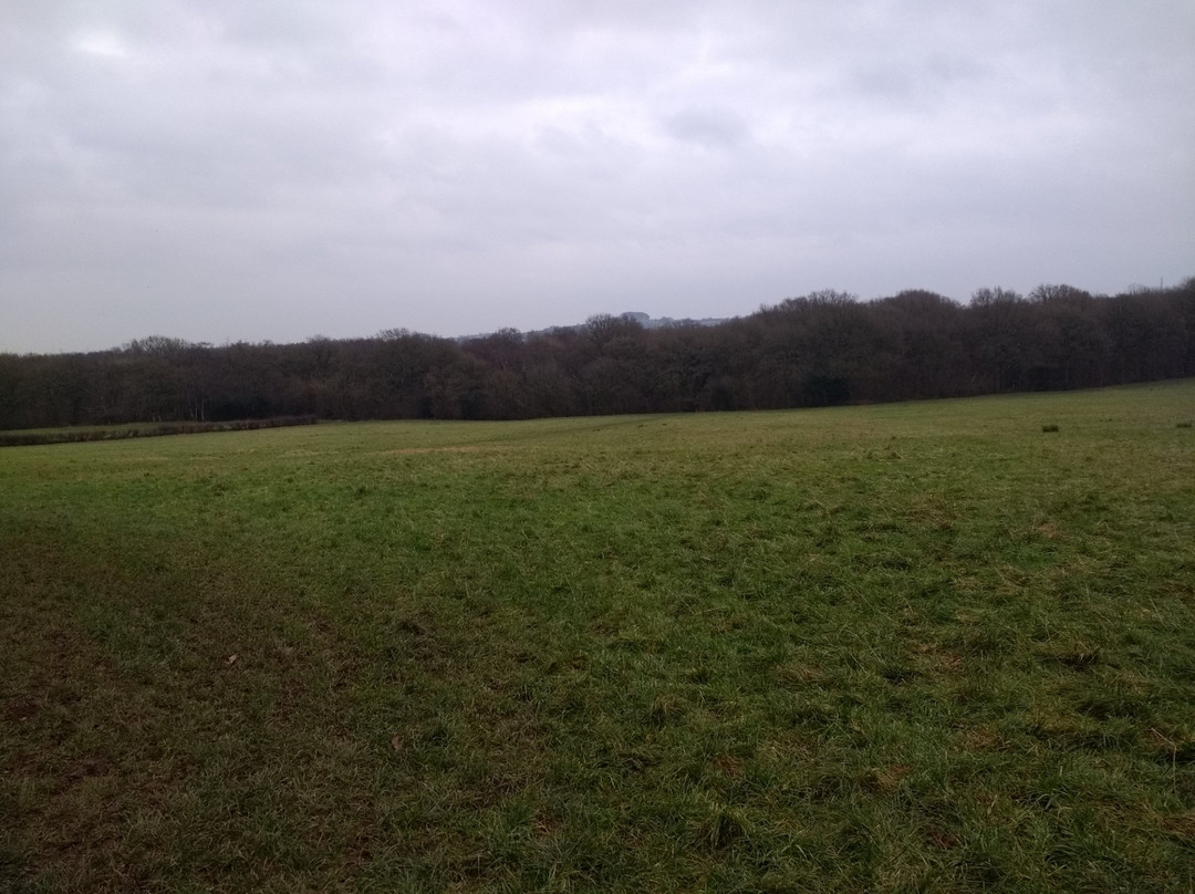 Ell Wood-Romsley必去景点