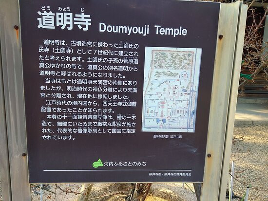 Domyoji Temple-藤井寺市必去景点