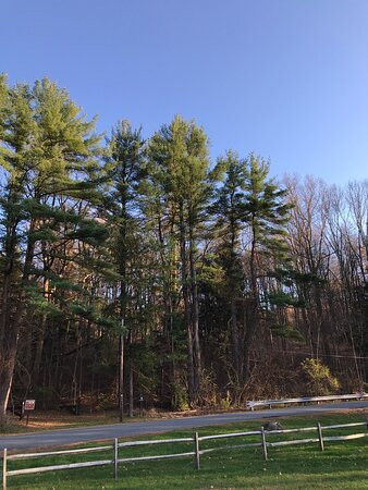 Jenny Jump State Forest景点图片