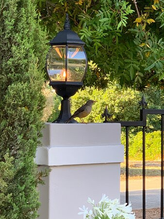 Boutique Hotel Sorgvry - House of Guests主图