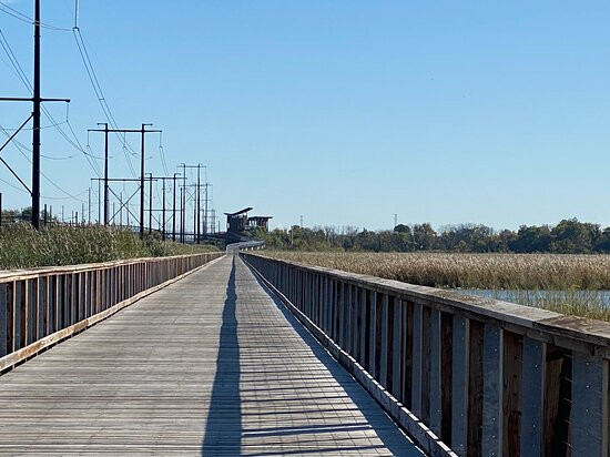 Russell W. Peterson Wildlife Refuge-威尔明顿必去景点