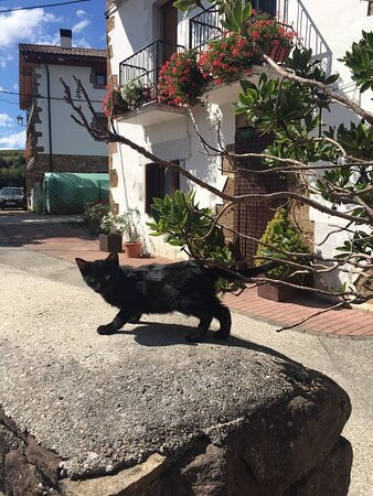 Hotel Rural Iribarnia主图