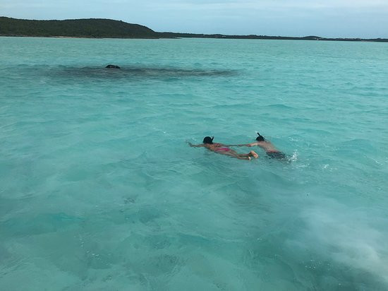 Chalk Sound-普罗维登西亚莱斯必去景点