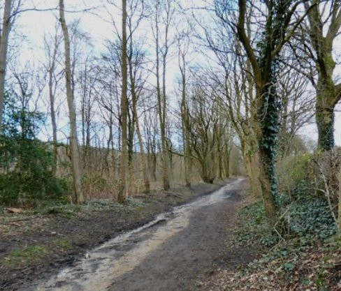 Micklehurst Loop