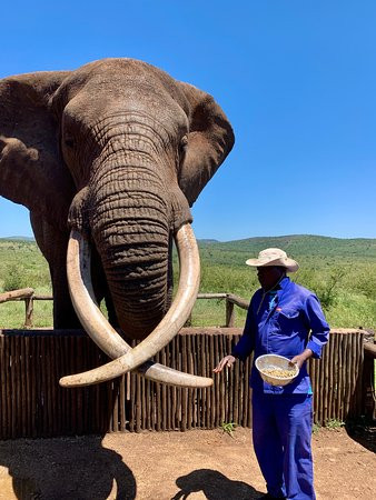 Bayete Zulu Lodges-Mkuze Game Reserve必去景点