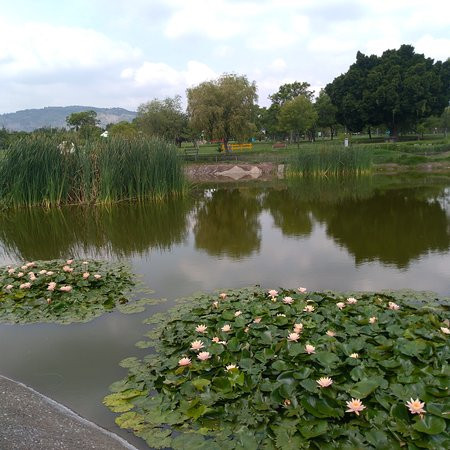 Parque Metropolitano de Guadalajara景点图片