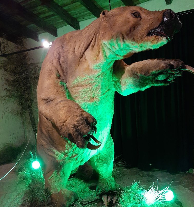 Museo Paleontologico景点图片
