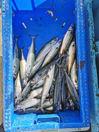 Unity Fishing Seahouses-Seahouses必去景点