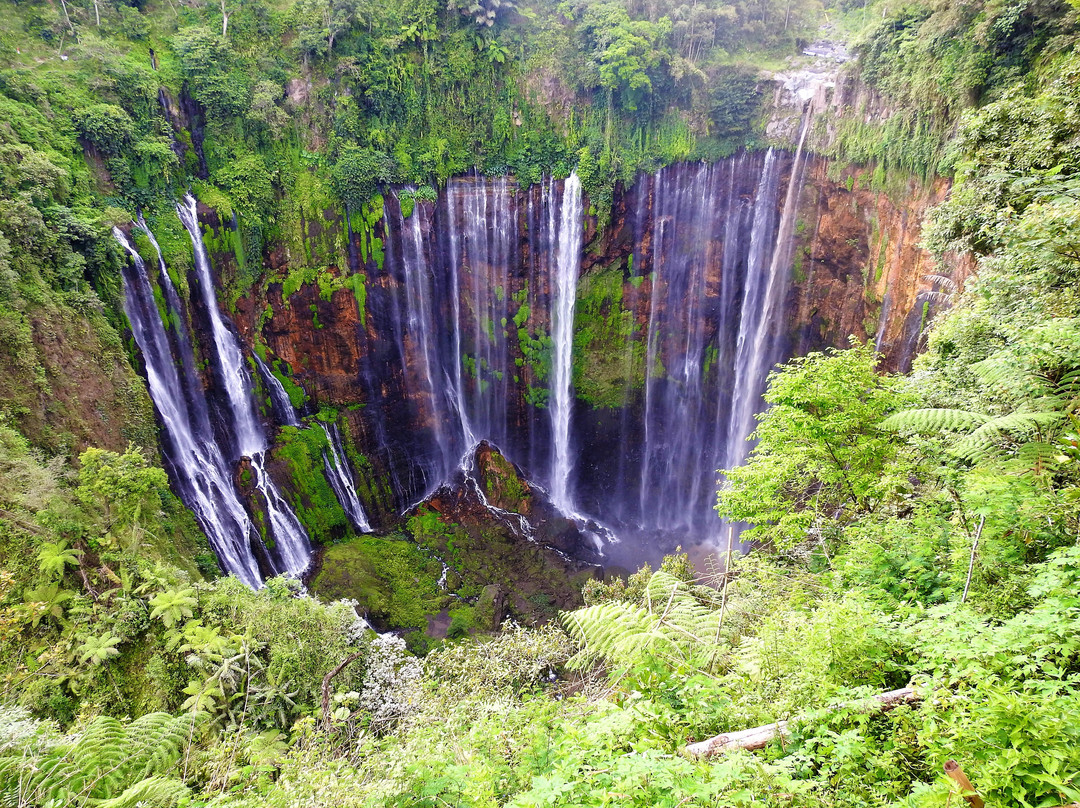 Tumpak Sewu Waterfall景点图片