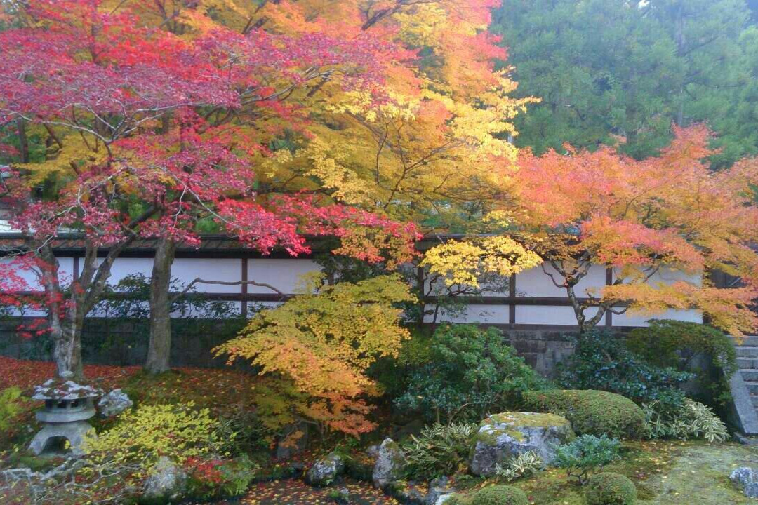 泉涌寺-京都市必去景点