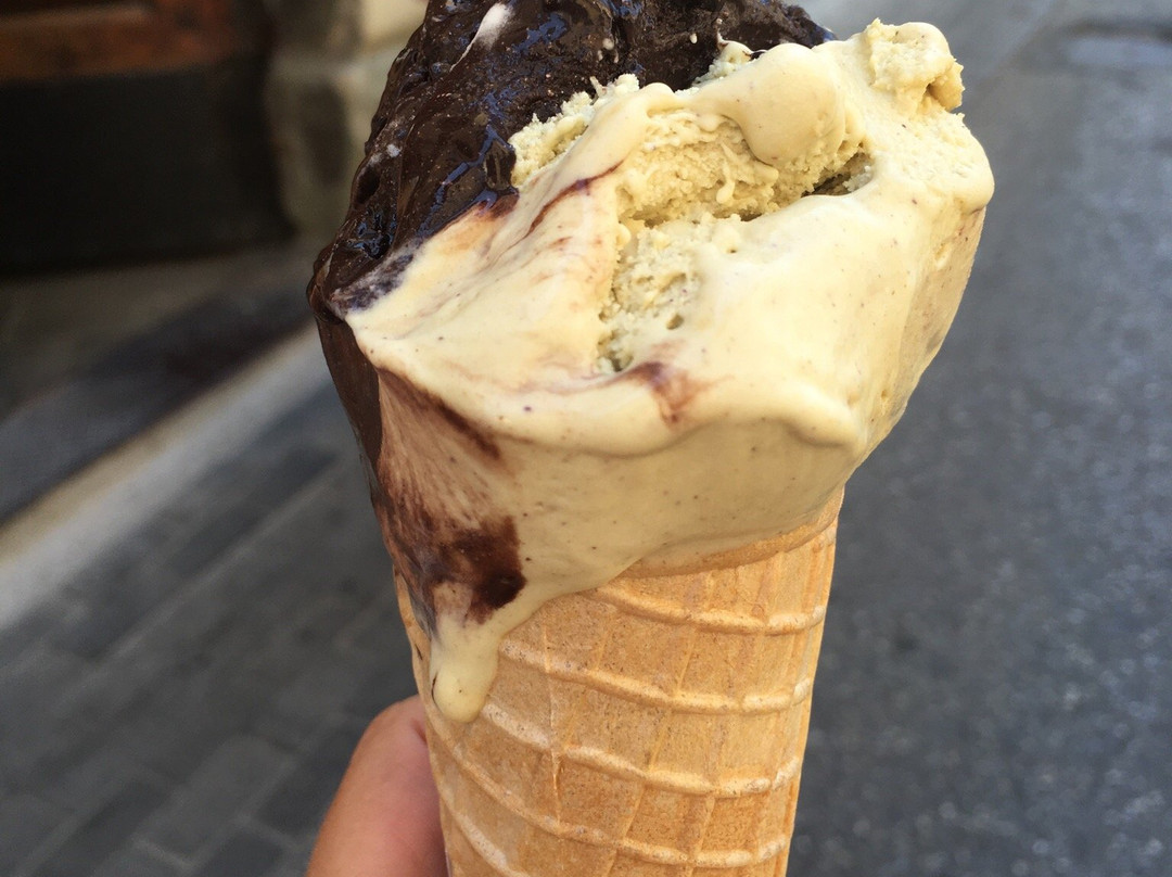 gelateria yogurteria Camilla