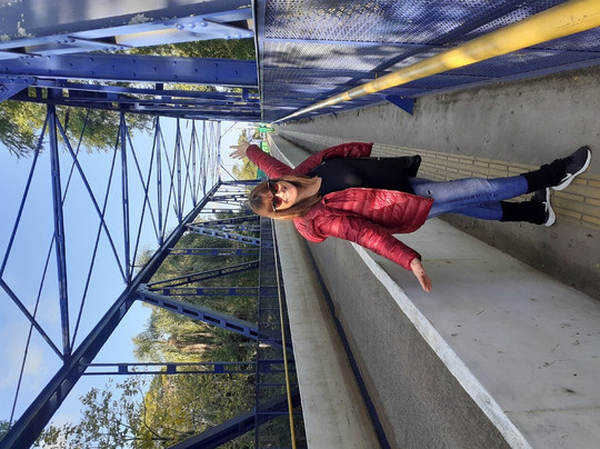 Ponte Júlio De Castilhos