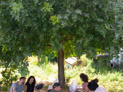 Gonen旅游攻略图片