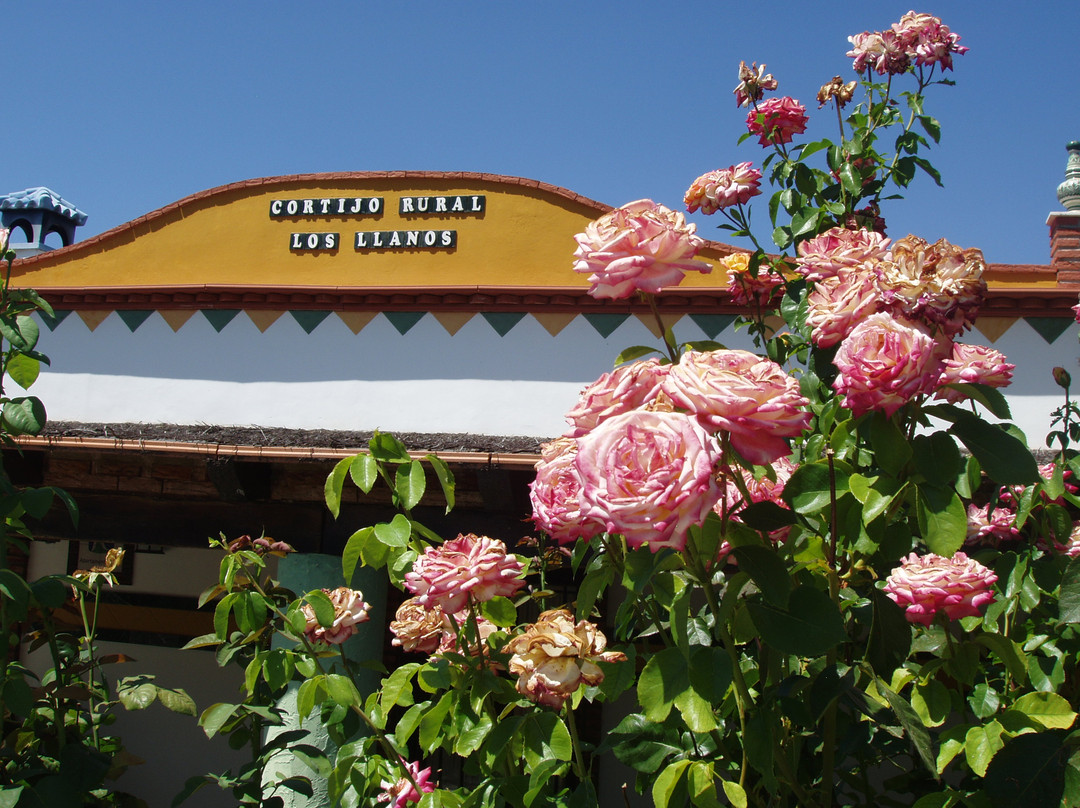 Cortijo los Llanos
