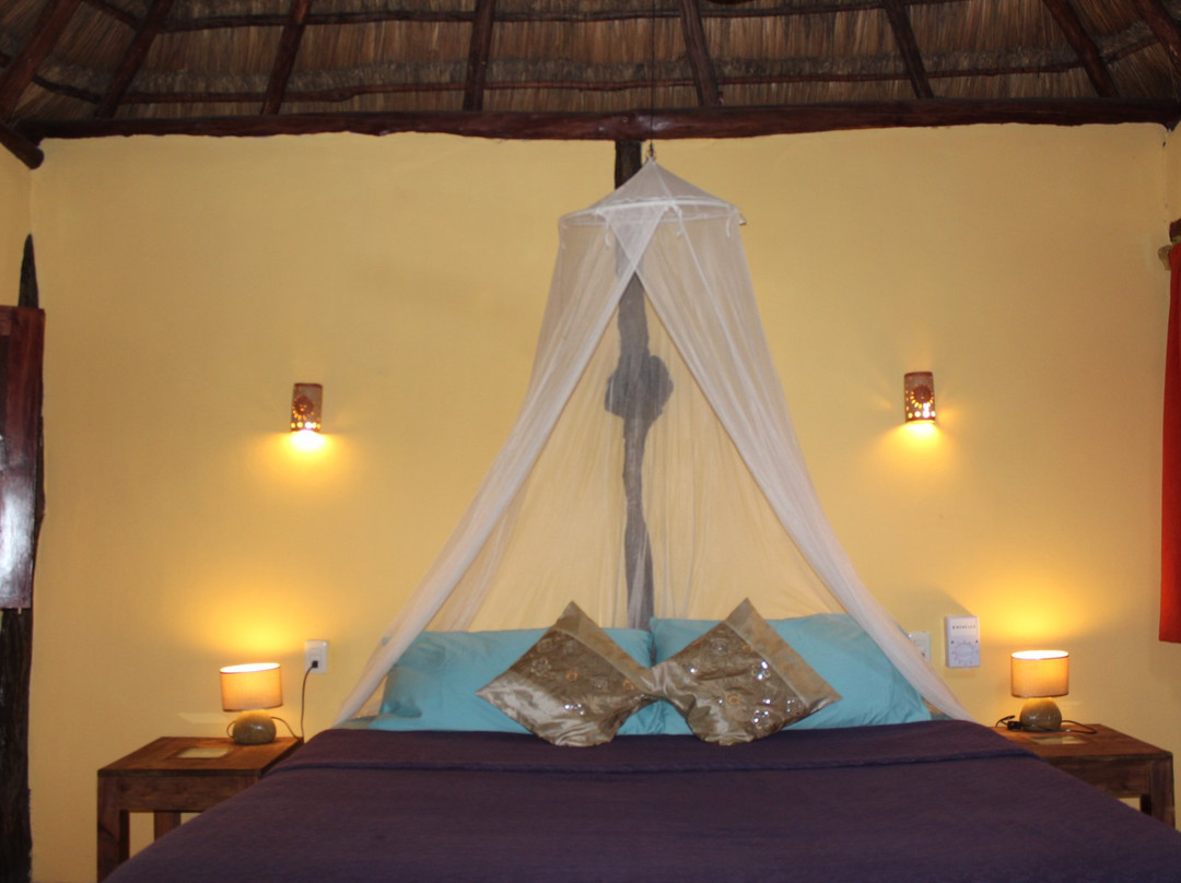 Casa Selva Orquideas