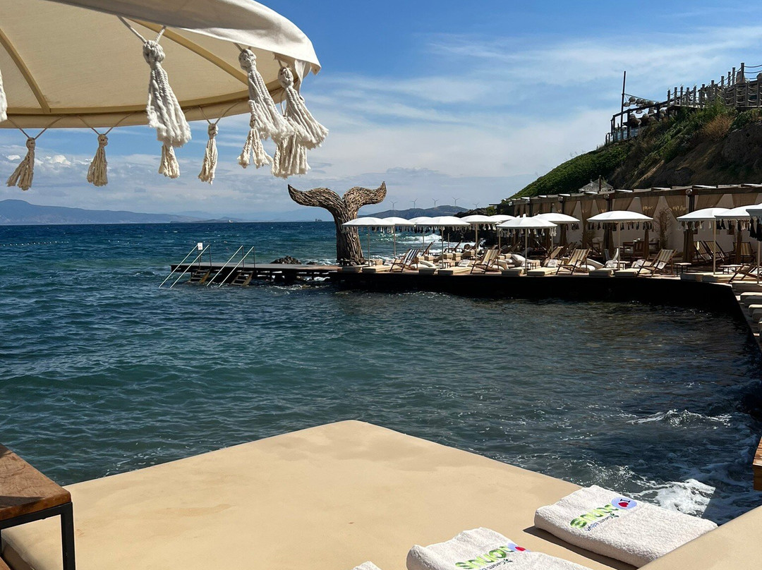 Plage Soleil
