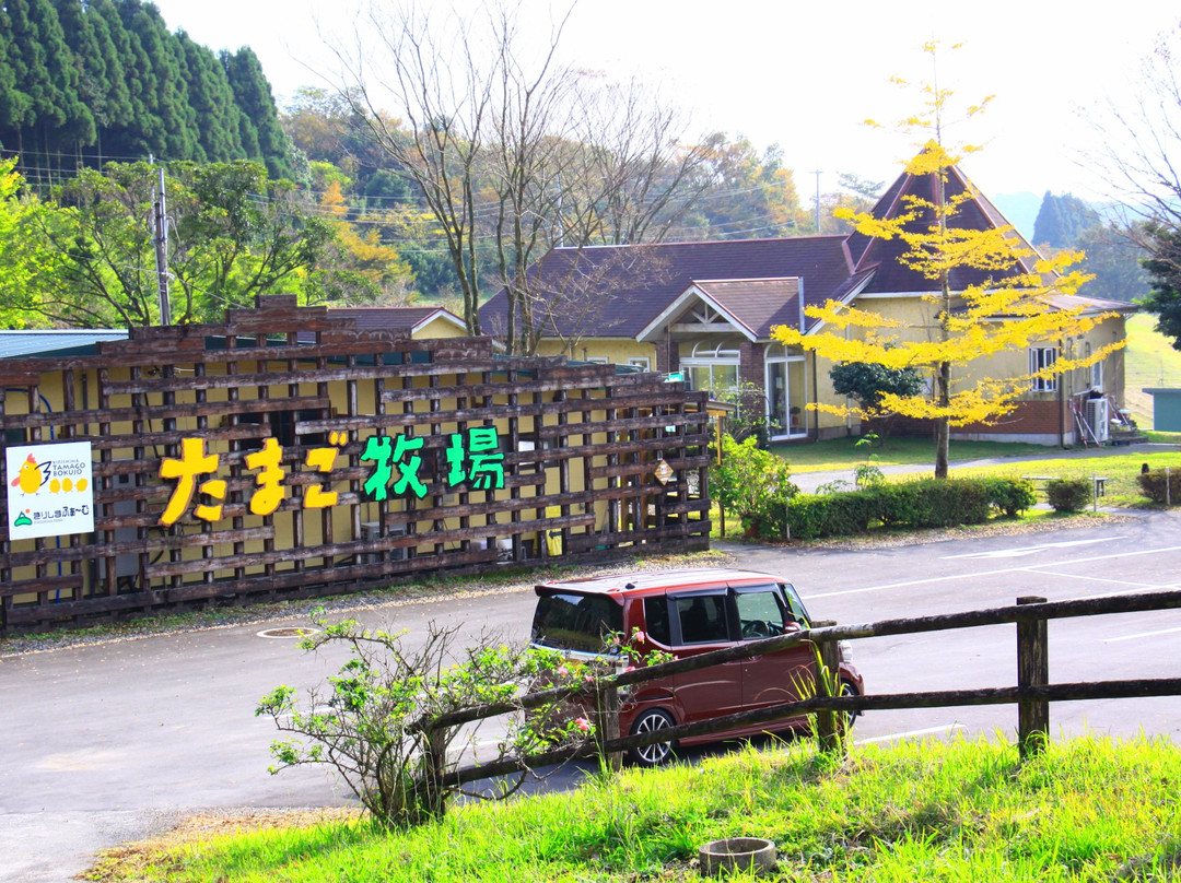 Kirishima Tamago Farm-都城市必去景点