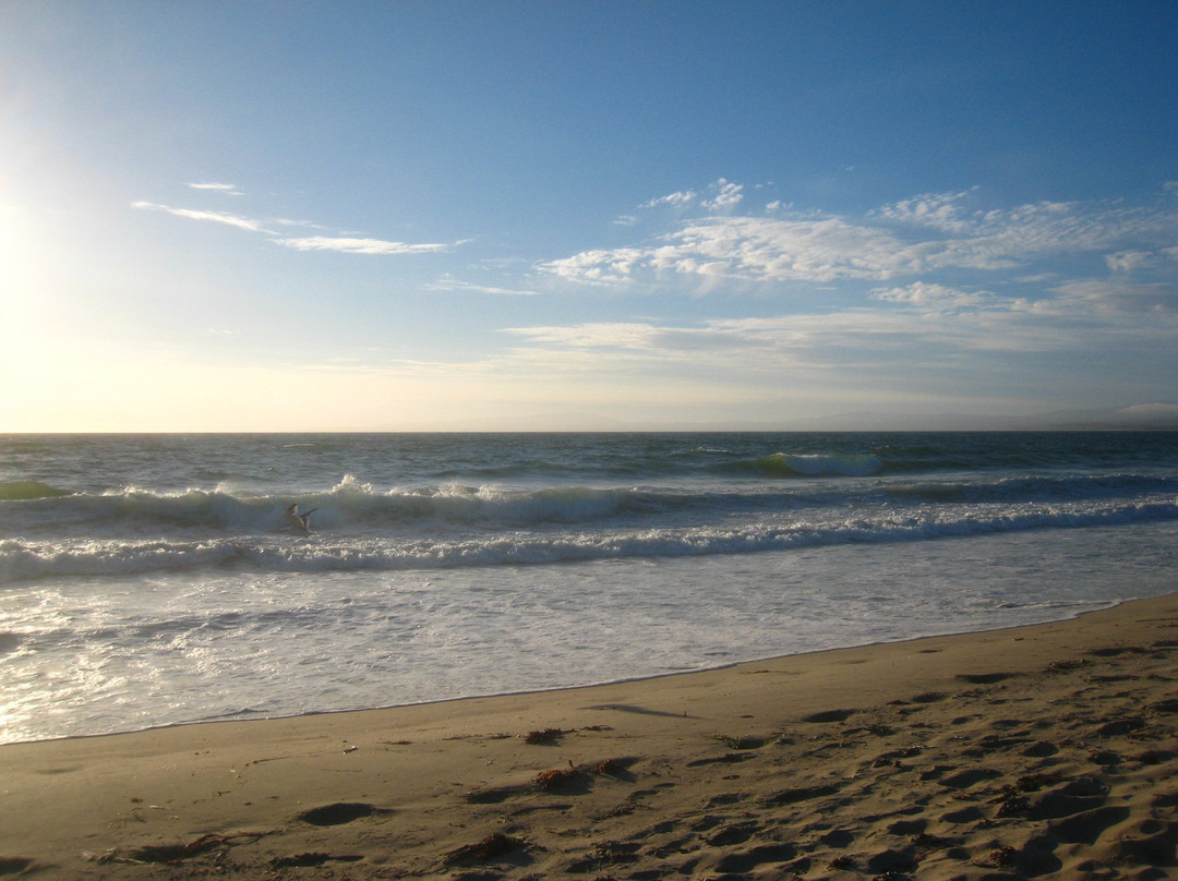 Salinas River State Beach景点图片