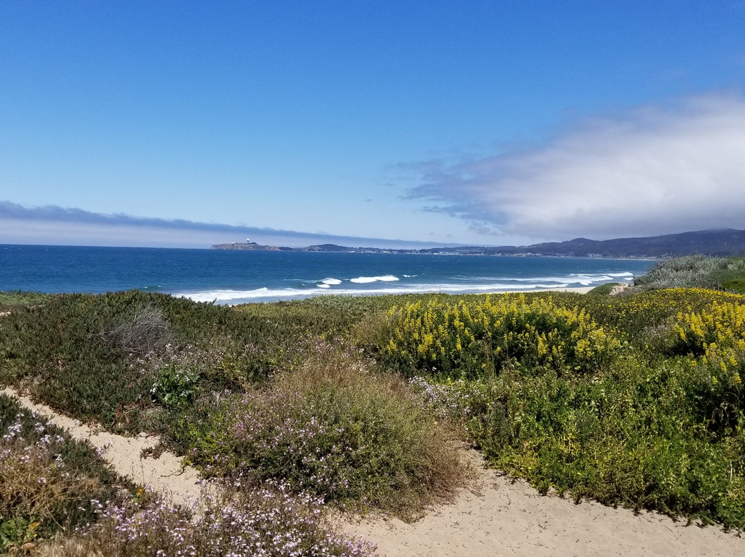 Francis Beach