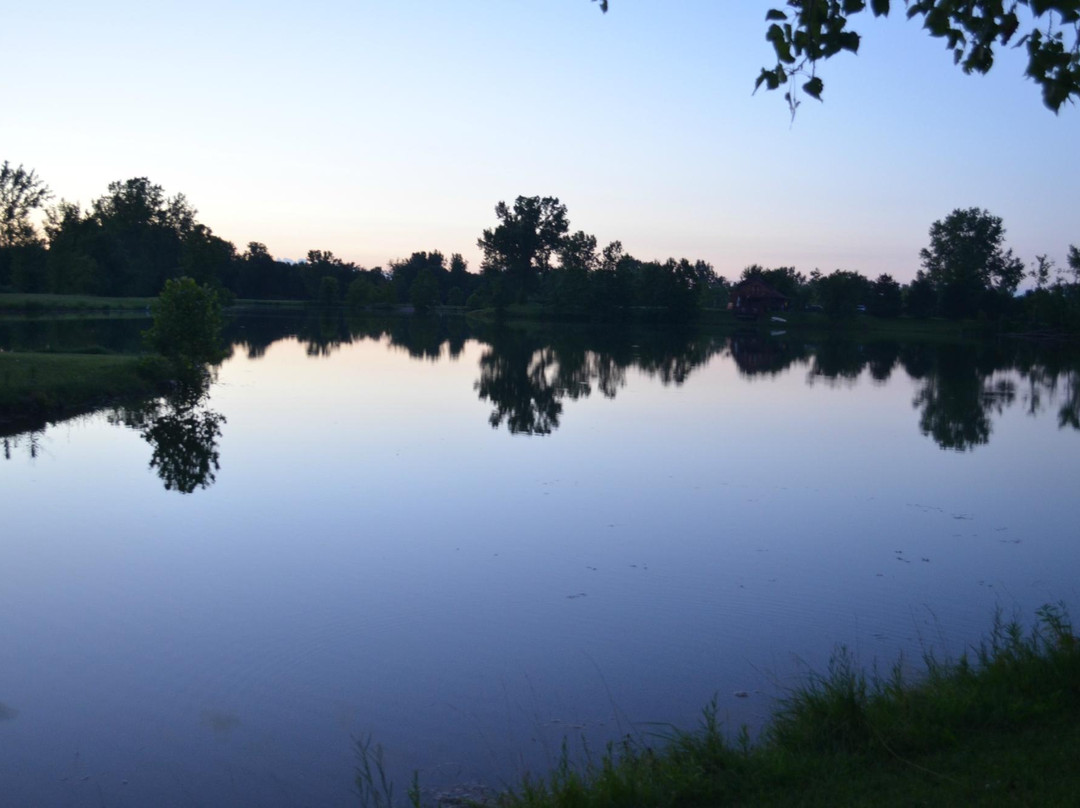Rei Lakes-斯普林菲尔德必去景点