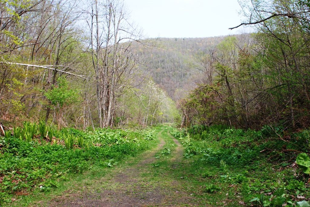 Konomai Mines Ruins-纹别市必去景点