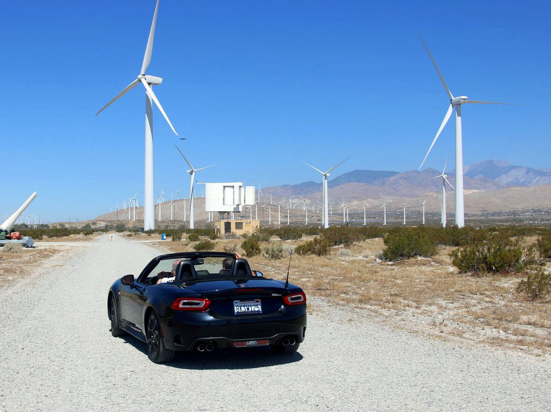 Palm Springs Windmill Tours-棕榈泉市必去景点