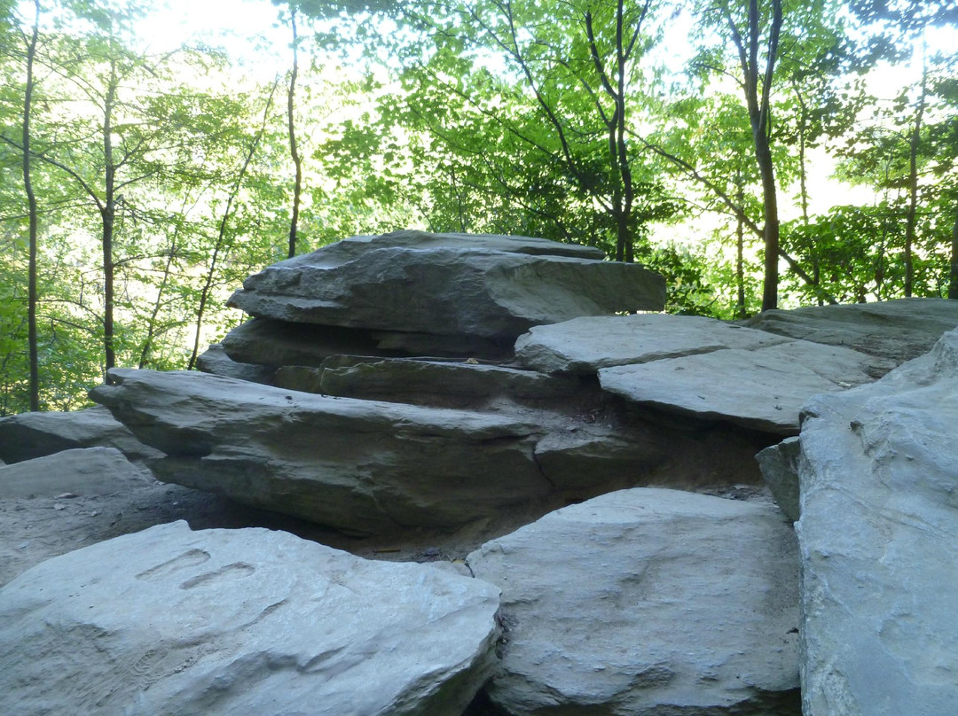 Raven Rock State Park景点图片