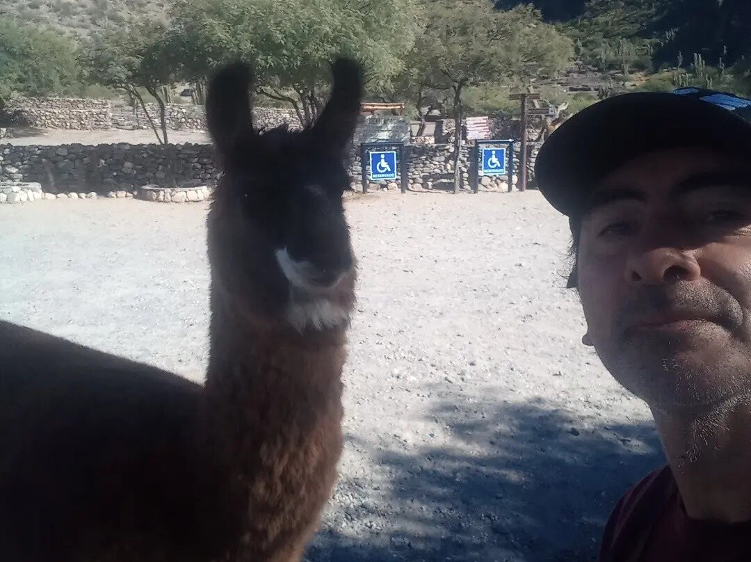 jorge sosa景点图片
