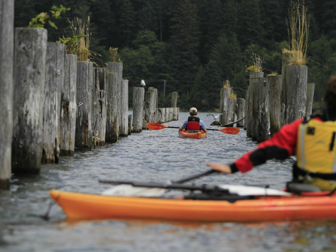 Kayak Tillamook County景点图片