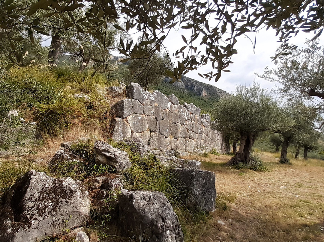 Mura Megalitiche景点图片