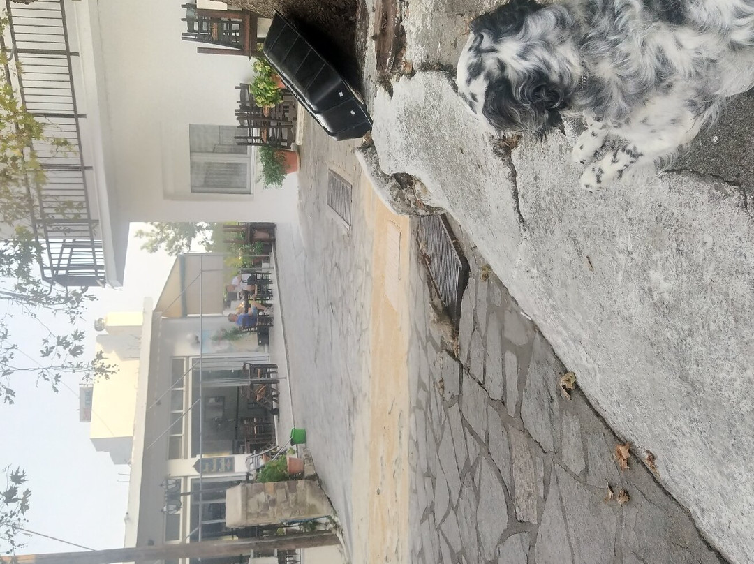 Kafeneío Stavroúlas