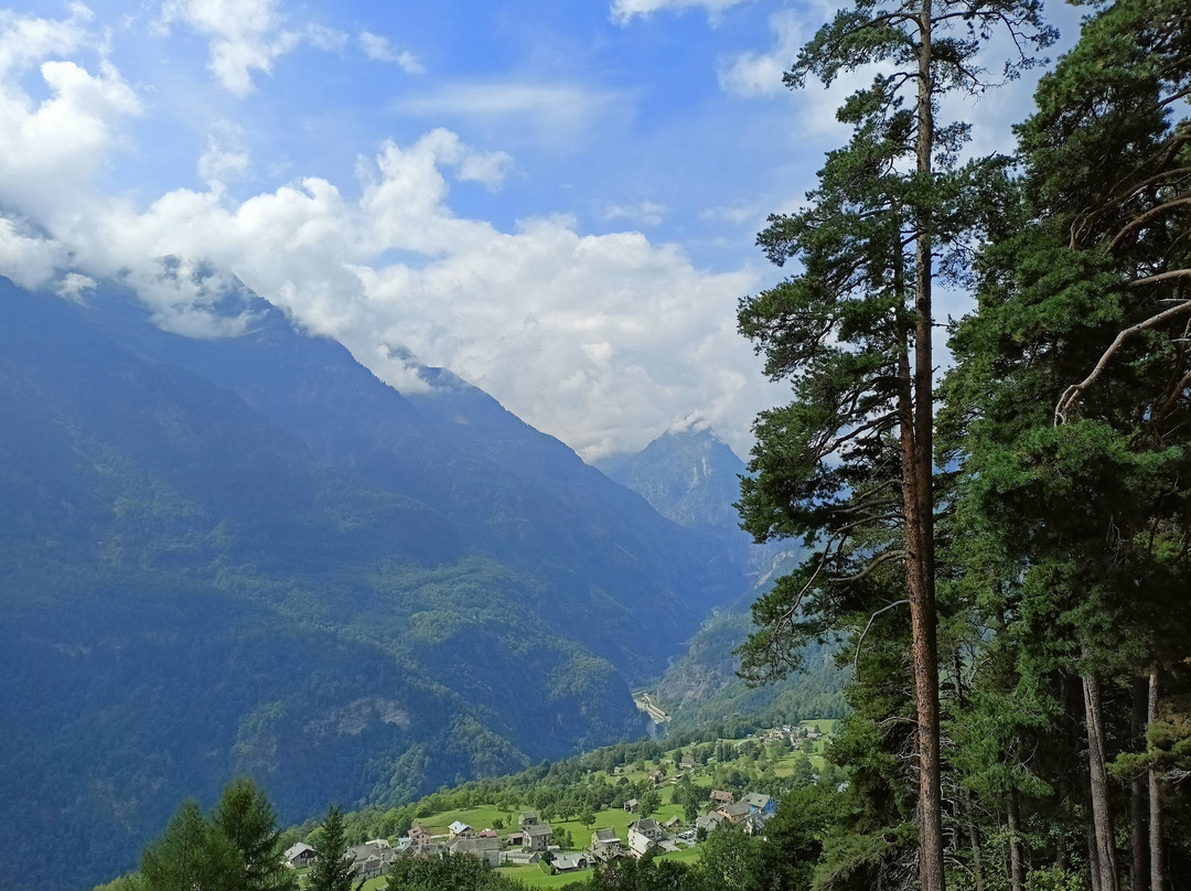 La Locanda Della Pineta