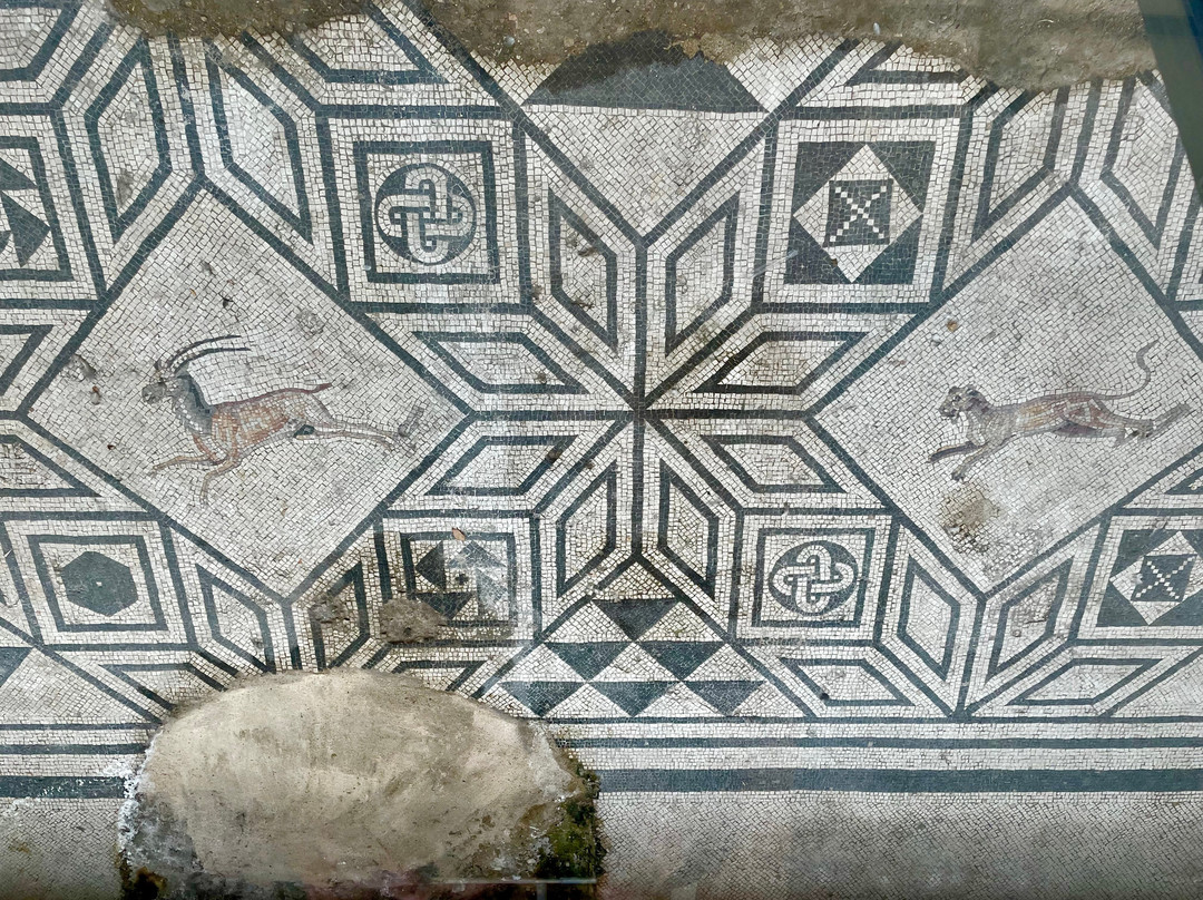 Ancient Roman Mosaics景点图片