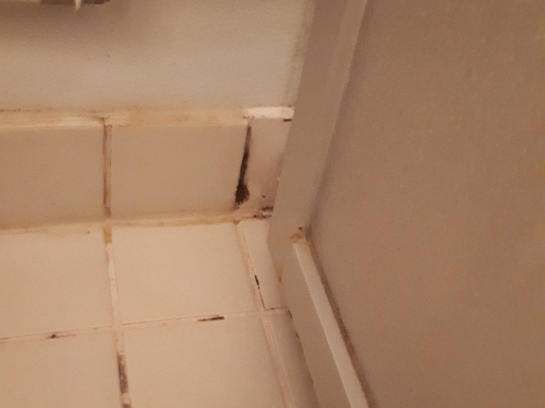 Break Sokos Hotel Bomba主图