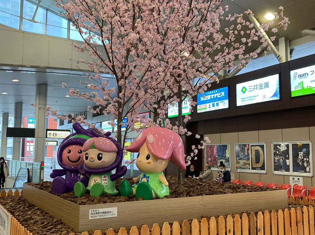 Ito-Yokado Ageo Ekimae-上尾市必去景点