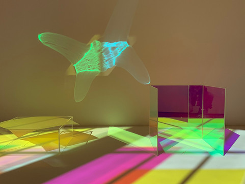 Sarasota Art Museum-萨拉索塔必去景点