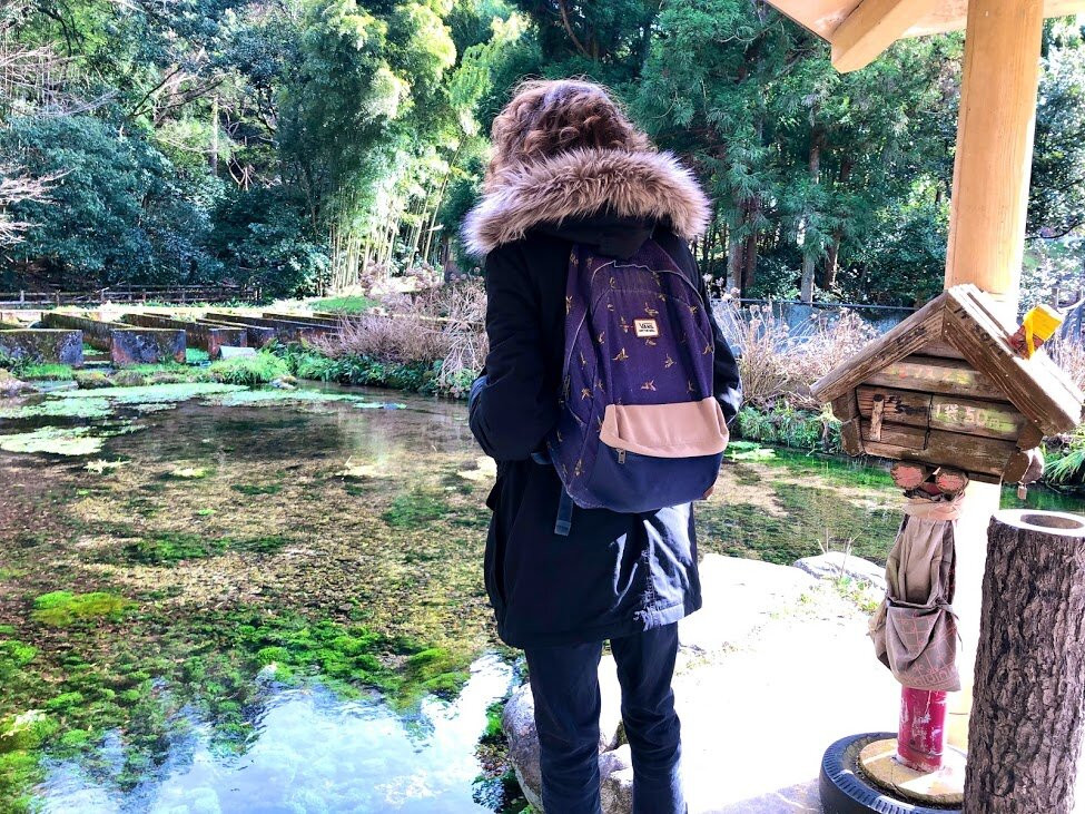 Hongu Izumi Spring-米子市必去景点