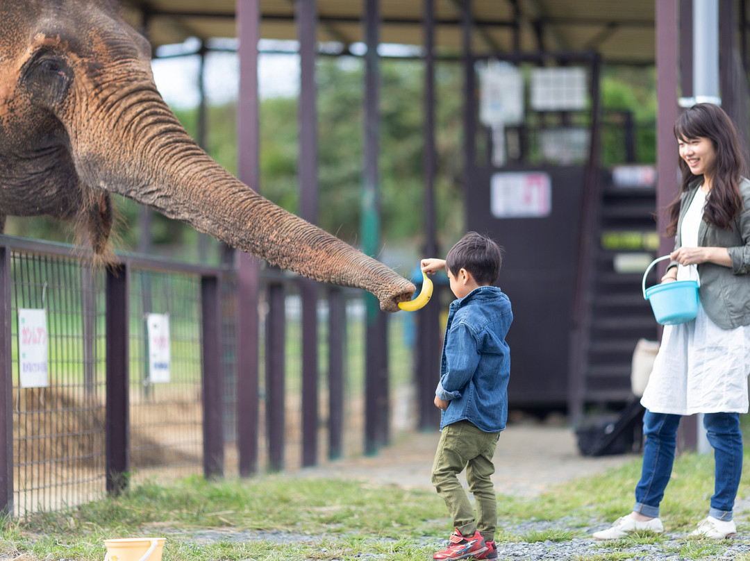 Iwate Safari Park-一关市必去景点