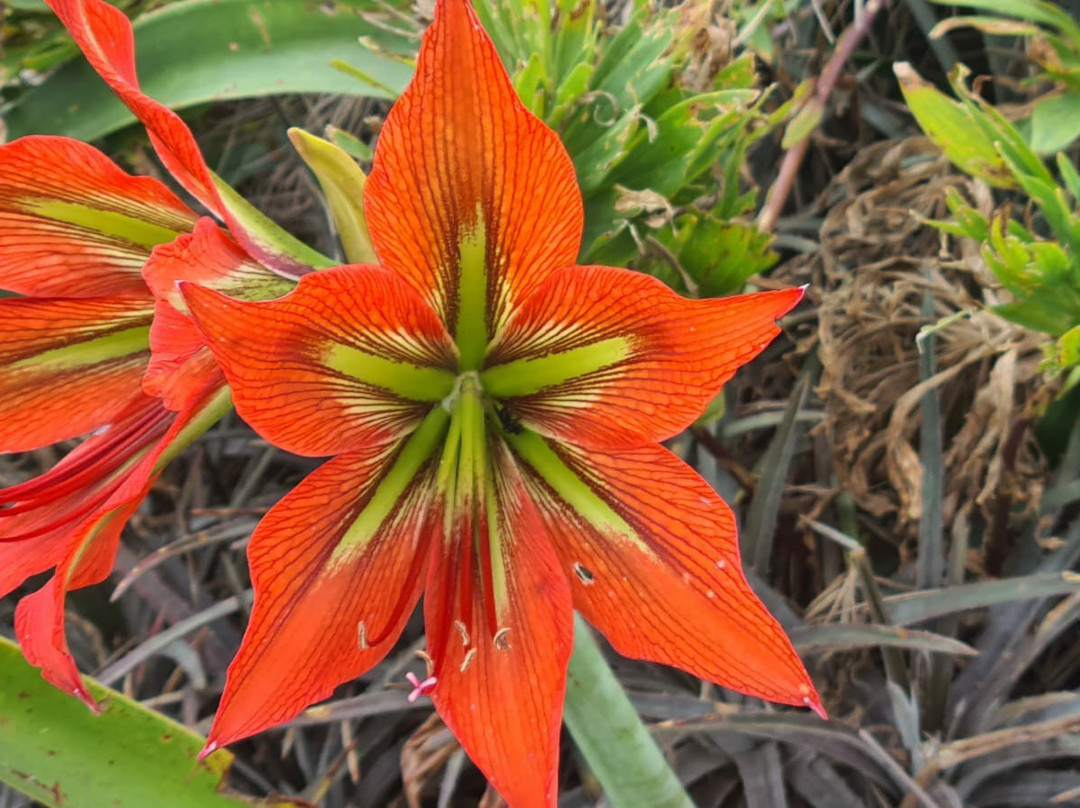 Pedra Grande-阿蒂巴亚必去景点