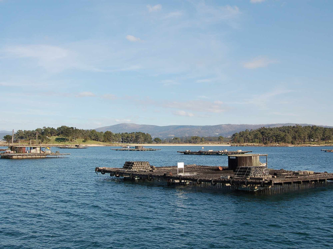 Cruceros Rias Baixas-格罗韦必去景点