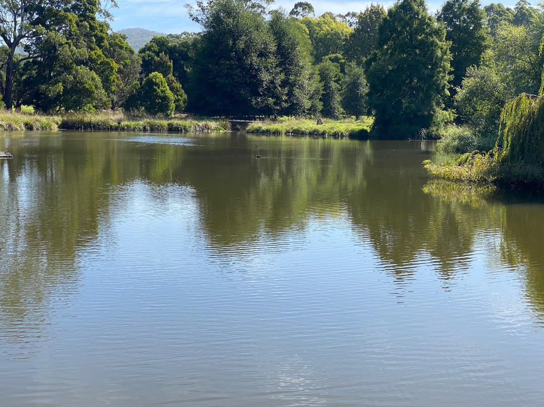 The Tasmanian Arboretum-Devonport必去景点