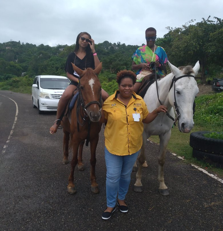 Suzette Tours Jamaica-奥乔里奥斯必去景点