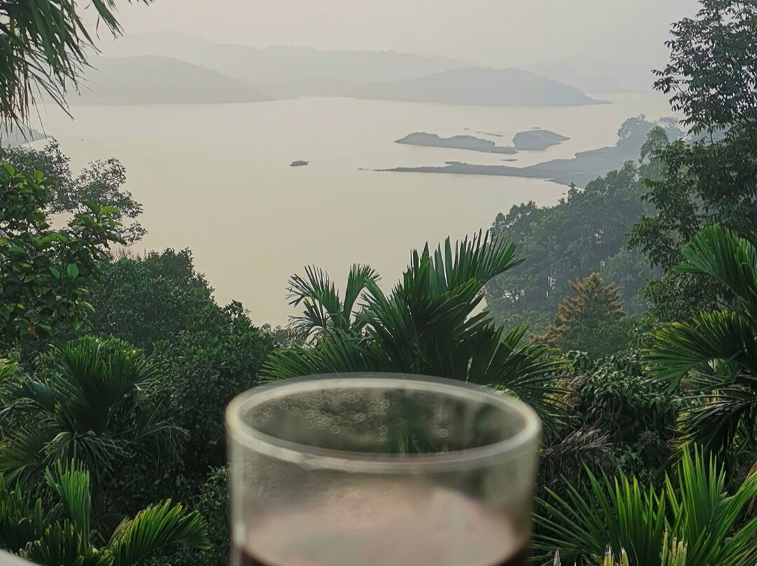 Bonita Banasura主图