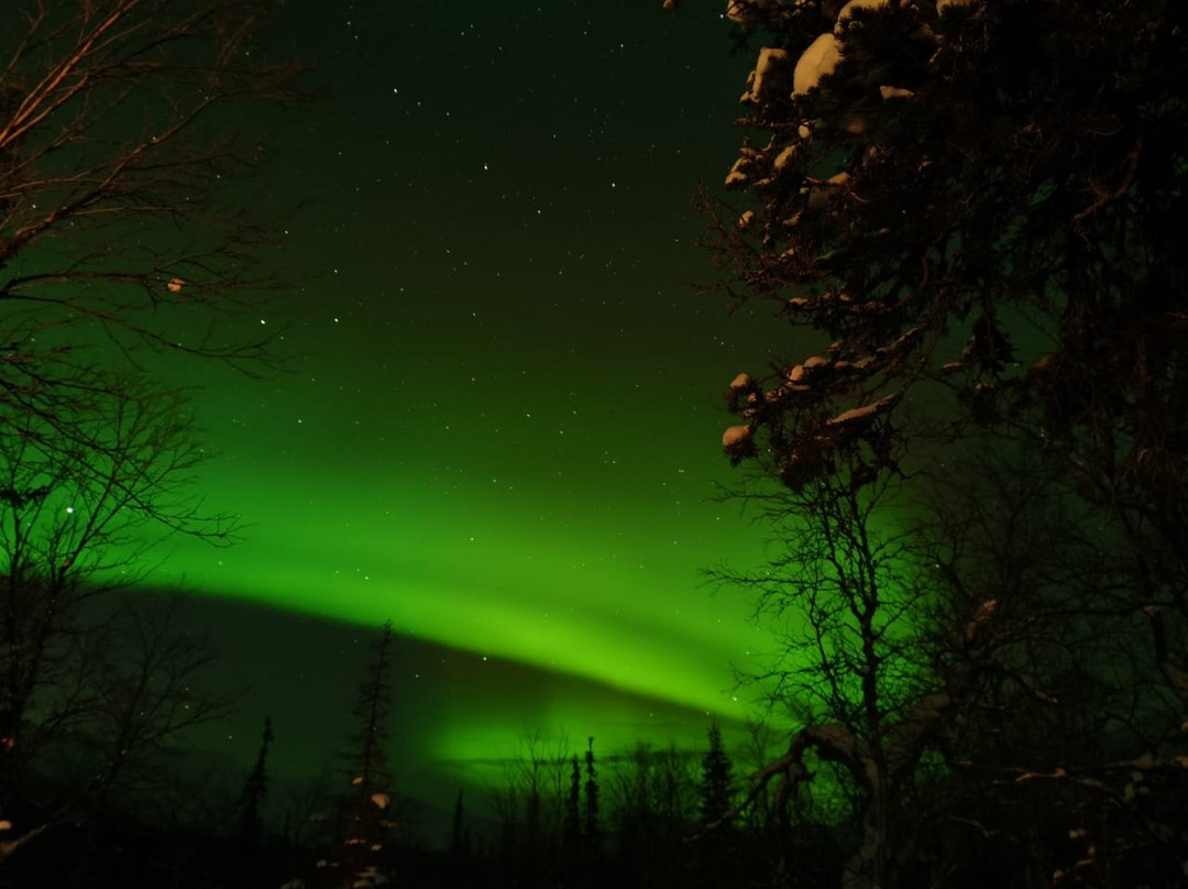 Kola Expeditions - Day Tours景点图片