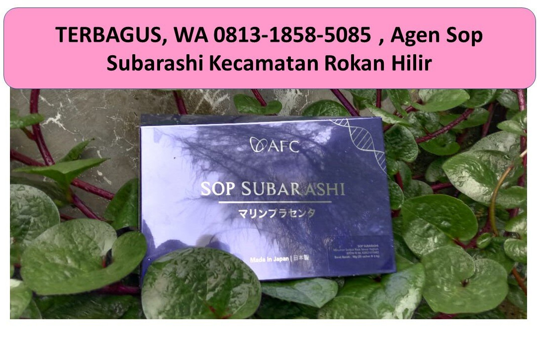 新好莱坞酒店主图