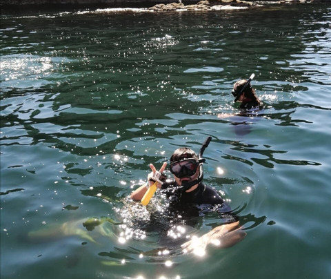 Baja Sur Tours-拉巴斯必去景点